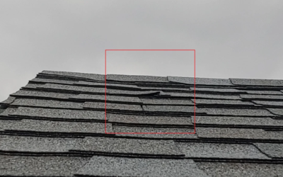 Roof Maintenance: Stories of Homeowners Who Didn’t Maintain Their Roof